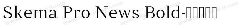 Skema Pro News Bold字体转换